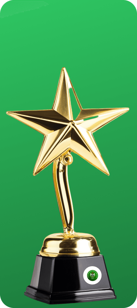 Gold star trophy